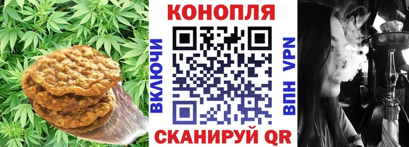 где найти Вязьма Canna-Cookies конопля