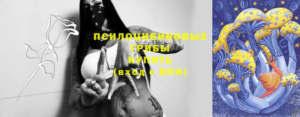 винт Верхний Тагил