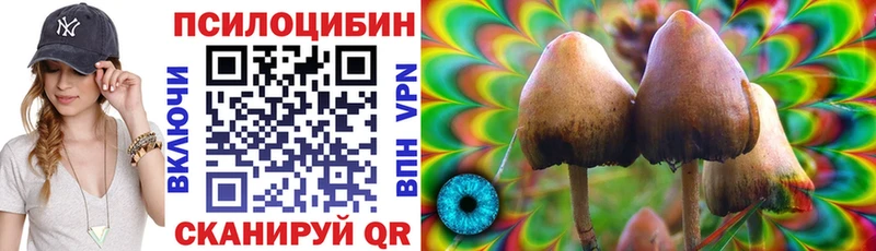 Галлюциногенные грибы Psilocybine cubensis кракен ТОР маркетплейс состав где можно купить Вязьма